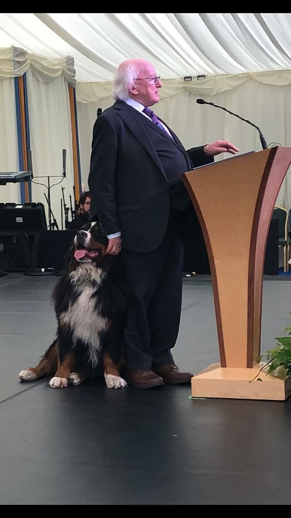 8. Получает балдежи