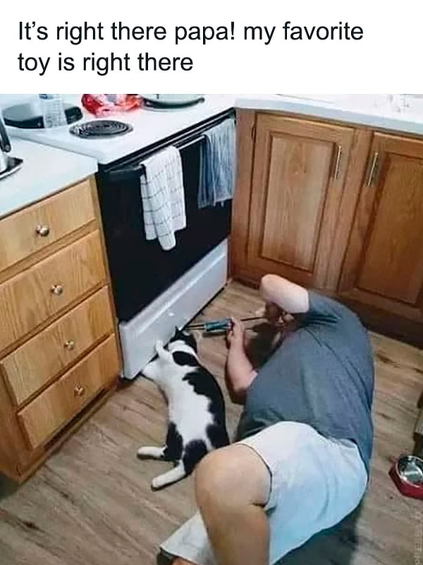 10. Она там папа! Моя любимая игрушка там!