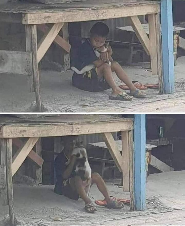 11. Они заслуживают лучшей жизни