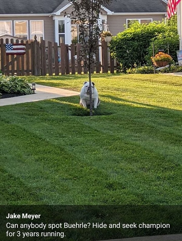 16. Невидимка