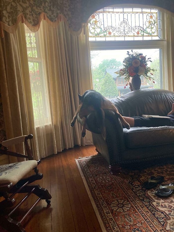 8. Он любит так лежать на диване