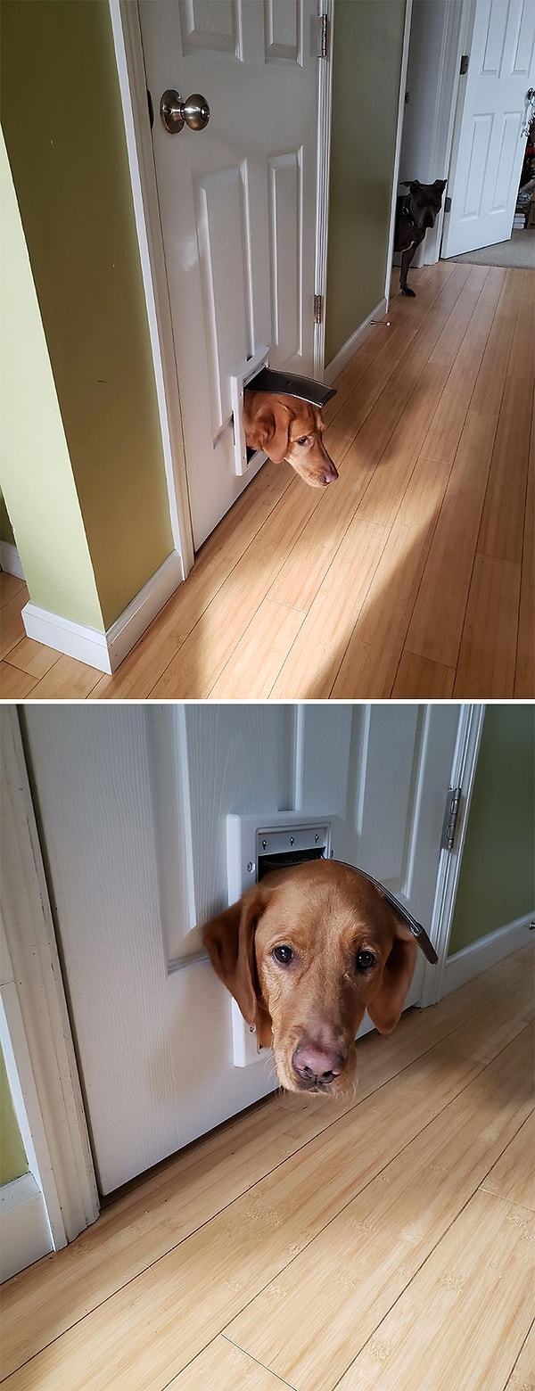 13. Ее случайно заперли, и она просидела так пол дня, не издавая ни звука