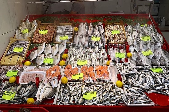 Balık Av Yasağı Sona Erdi: Eylül Ayı Hangi Balık En Lezzetlidir, Hangi Balıklar Yenir?