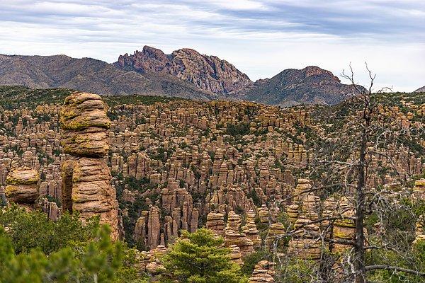 4. Chiricahua Dağları - Arizona