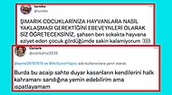 Çocuğunun Kediyi Gırtlağından Tutarak Sevmesini Videoya Çeken Anne Sosyal Medyada Tartışma Yarattı!