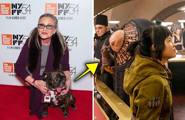 17. Star Wars serisinin 2017'de çıkan filmi 'The Last Jedi'da Prenses Leia'yı canlandıran oyuncu Carrie Fisher'ın köpeği bir sahnede yer almış.