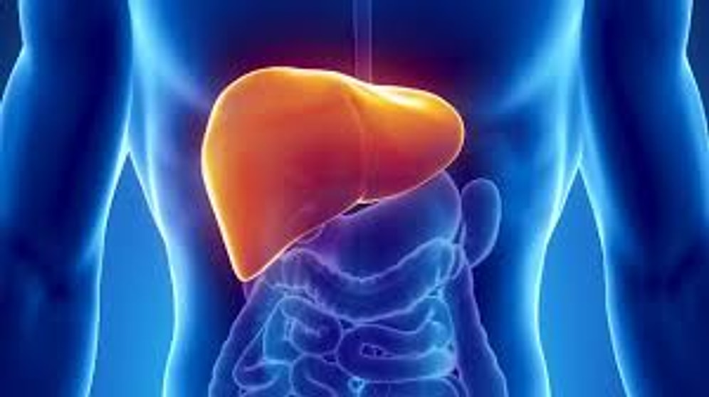 ALT: Alanin Aminotransferaz Nedir? Yüksekliği ve Düşüklüğü Ne Anlama Gelir? Değerleri Kaç Olmalıdır?