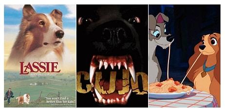Başrolde Sevimli Köpekleri Gördüğümüz Birbirinden Keyifli ve Sürükleyici 11 Sinema Filmi