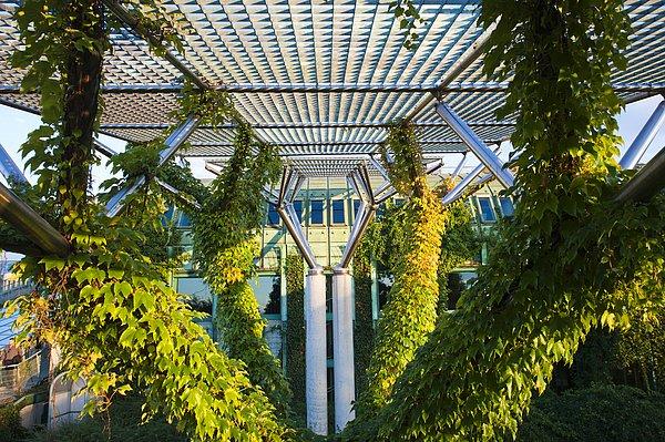 14. 15 bin metrekarelik yeşil alanla çevrili Varşova Üniversitesi kütüphanesi