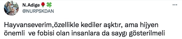 👇👇