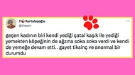 Çocuklardan Sonra Şimdi de Sosyal Medyada Hayvan Kabul Etmeyen Restoranlar Tartışması  Alevlendi