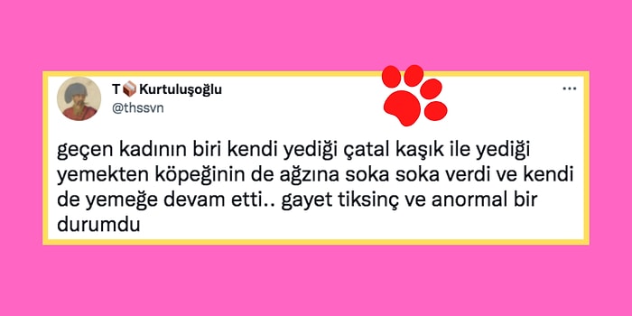 Çocuklardan Sonra Şimdi de Sosyal Medyada Hayvan Kabul Etmeyen Restoranlar Tartışması  Alevlendi