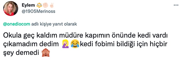 1. Onlar da akıl ve mantık sınırlarının kapısına dayanan cevaplarla neşemizi yerine getirdiler 😂