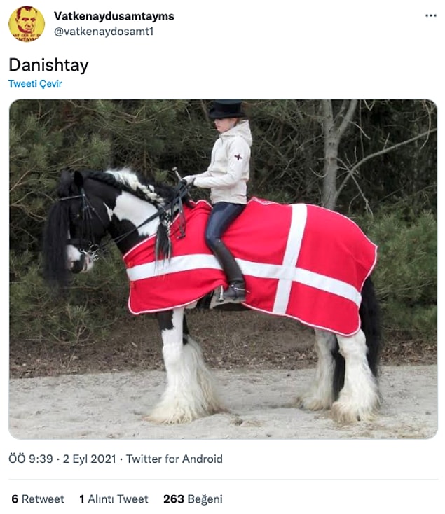 1. Danishtay > Arap atı o zaman.