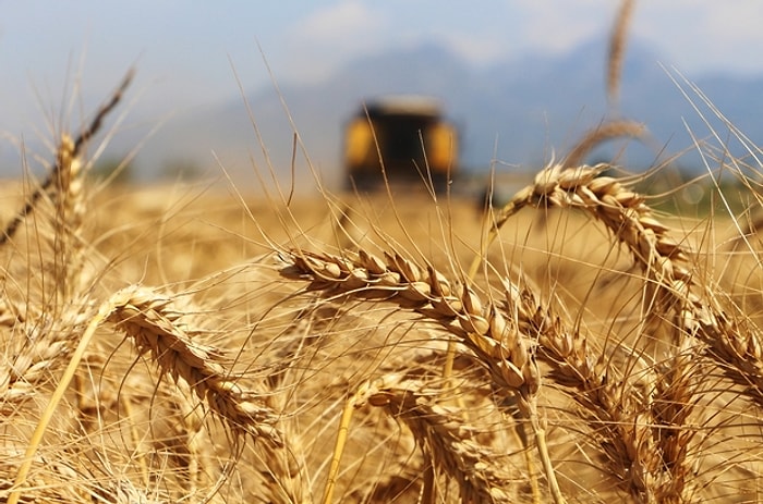 Bazı Tarım Ürünlerinde Gümrük Vergisi Sıfırlandı