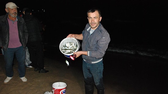 Karadeniz'de Görülmemiş Olay: Kıyıya Vuran Balıkları Elleriyle Topladılar