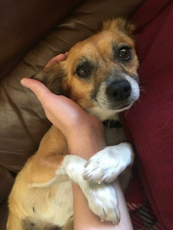 14. Она очень благодарна, что мы забрали ее из приюта