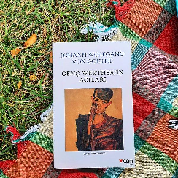 8. Genç Werther’in Acıları - Goethe