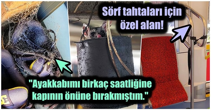 Avustralya'da Yaşayan İnsanların Kendine Has Yaşam Tarzı Benimsediğini Gösteren Birbirinden İlginç Durumlar