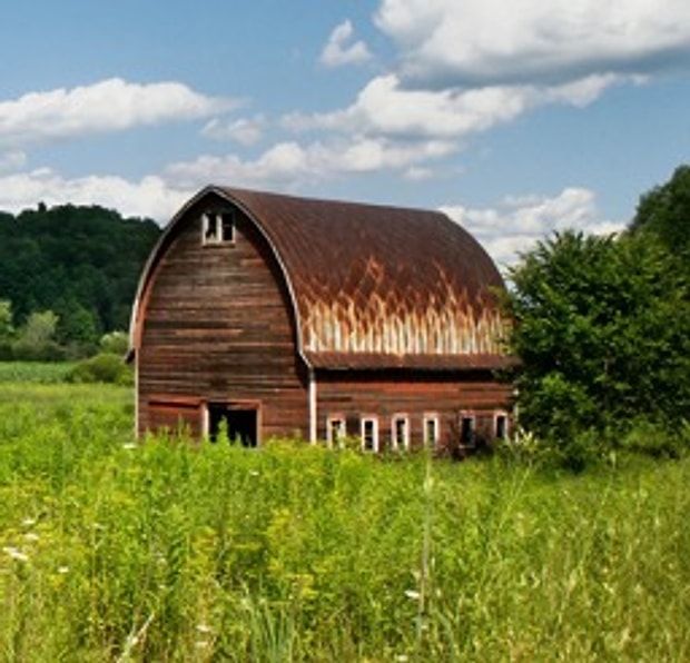 Tiny House