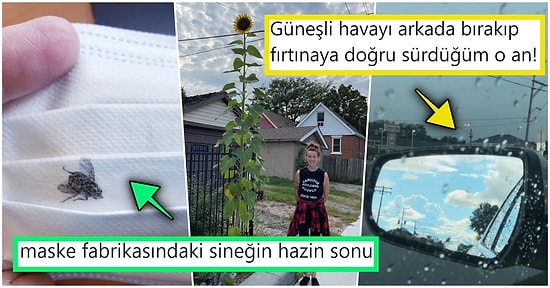 Hep Aynı Şeyleri Görmekten Sıkılanları İlginçliğe Doyuracak Birbirinden Acayip 21 Yeni Görsel