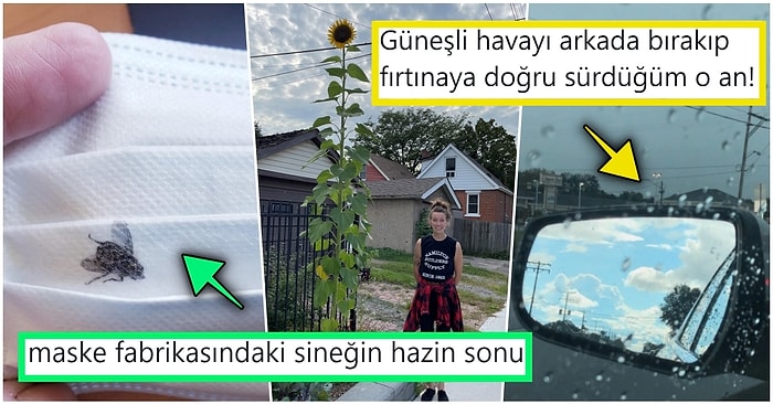 Hep Aynı Şeyleri Görmekten Sıkılanları İlginçliğe Doyuracak Birbirinden Acayip 21 Yeni Görsel