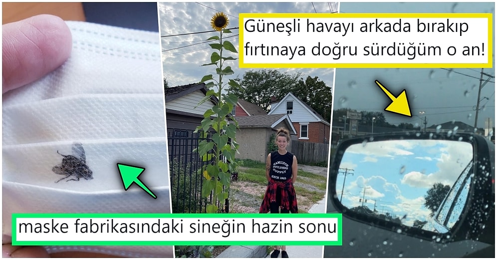 Hep Aynı Şeyleri Görmekten Sıkılanları İlginçliğe Doyuracak Birbirinden Acayip 21 Yeni Görsel