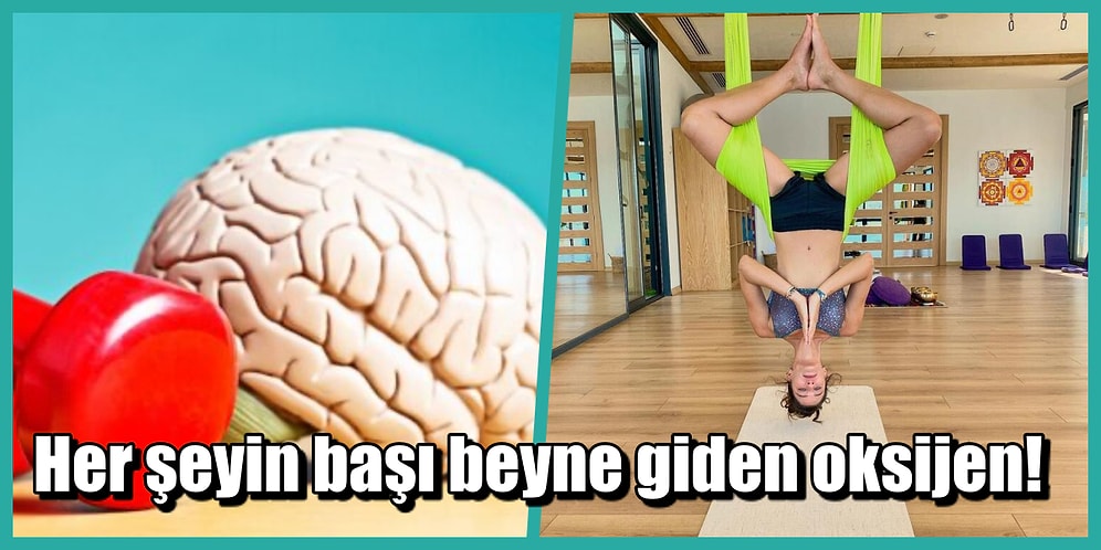 Küçük Değişikliklerle Beyin Performansını Arttırmanın Etkili Yolları