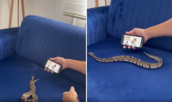 Evcil Yılanına Ankaralı Namık'ın Salla Şarkısında Dans Ettiren Adam