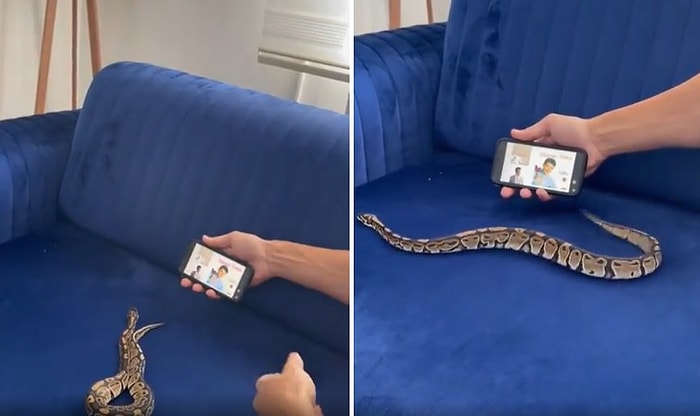 Evcil Yılanına Ankaralı Namık'ın Salla Şarkısında Dans Ettiren Adam