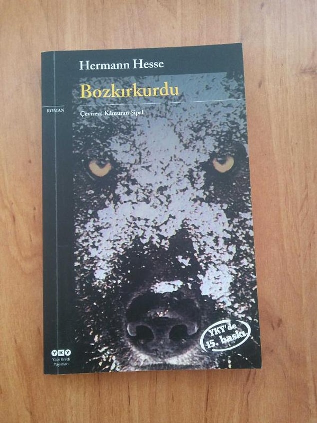 21. Bozkırkurdu - Herman Hesse