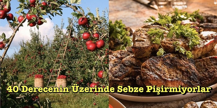 Kimisi Çöpten Yiyor Kimisi Sebzelerin Acı Çektiğini Düşünüyor: Dünyadaki Farklı Beslenme Alışkanlıkları