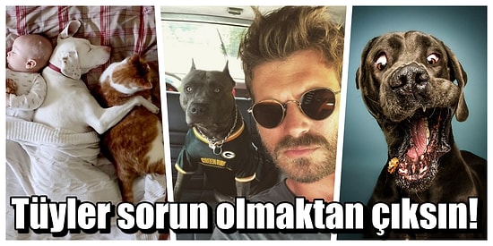 Evcil Hayvan Sahiplerini Pişman Etmeyecek Elektronik Ev Aletleri