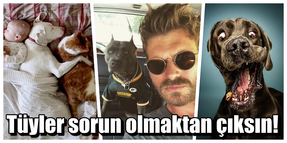 Evcil Hayvan Sahiplerini Pişman Etmeyecek Elektronik Ev Aletleri