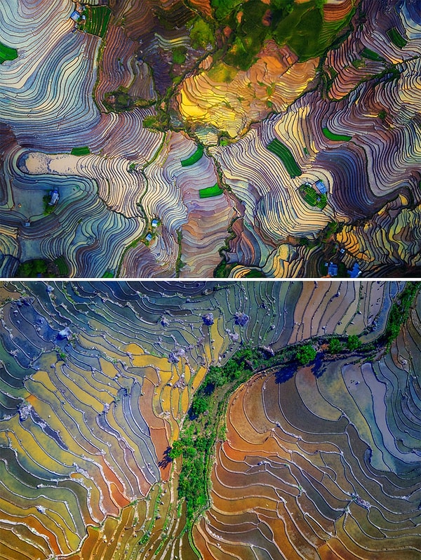 6. Красочные рисовые поля