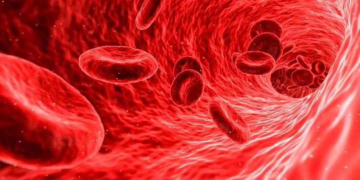 HGB: Hemoglobin Nedir? Yüksekliği ve Düşüklüğü Ne Anlama Gelir? Değerleri Kaç Olmalıdır?