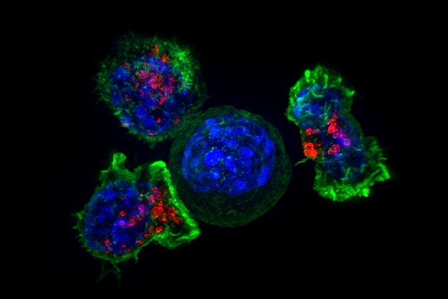 Oxford-AstraZeneca aşısında kullanılan teknoloji tam bu noktada devreye giriyor.