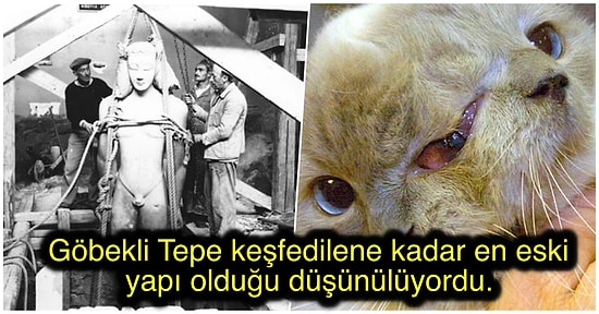 Öğrendiğiniz Andan İtibaren Entelektüel Kişiliğinize Renk Katacağınız Birbirinden İlginç Bilgiler