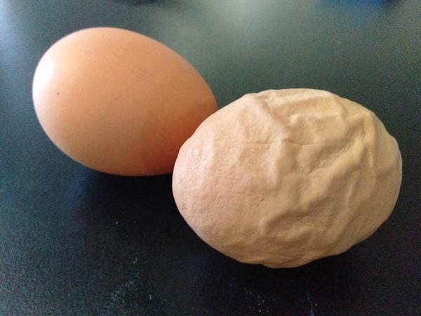 11. Daha önce hiç damarlı yumurta görmüş müydünüz?