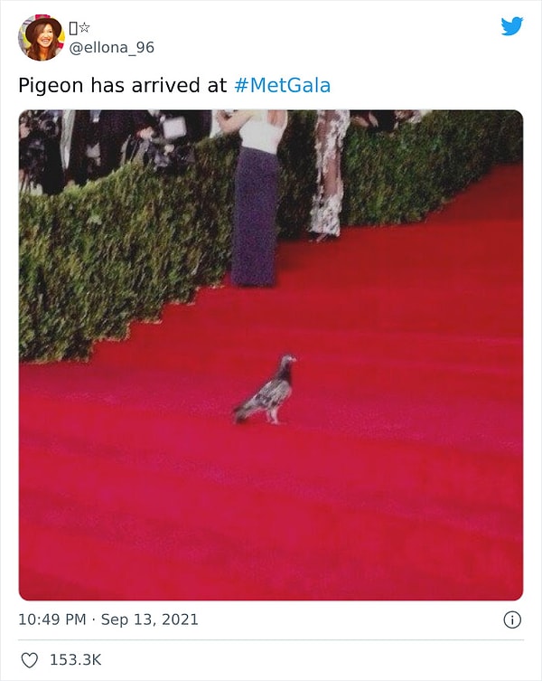 3. Голубь тоже приехал на Met Gala