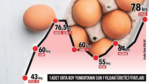 Yumurta fiyatlarının grafiği 📌