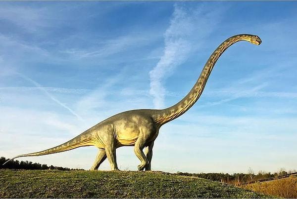 5. Dünyanın şu anda olduğu pozisyonda daha önce bulunduğu dönemde dinozorlar daha yeni ortaya çıkmıştı.