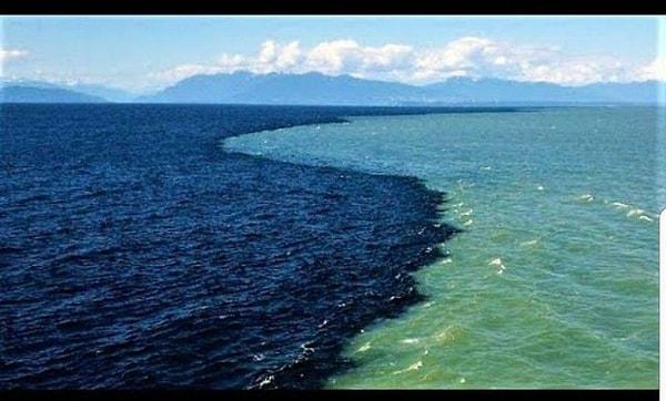 9. Kanada, Vancouver Adası yakınlarındaki Georgia Boğazı'nda Pasifik Okyanusu ile birleşen nehir: