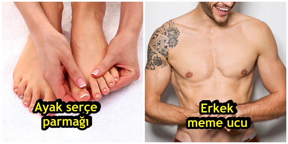 Evrim Bizi Değiştirdi! Artık Hangi Organlarımıza Hiç İhtiyacımız Kalmadığını Biliyor musunuz?