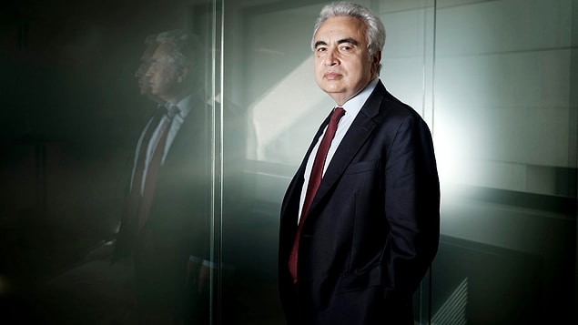 Kariyerinin başında Petrol İhraç Eden Ülkeler Örgütü (OPEC)'nde petrol analisti olarak 7 yıl boyunca görev yaptı.