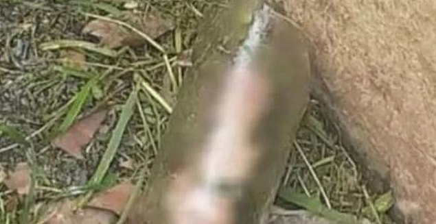 Kokunun geldiği yere yönelen genç adam cam bir kavanozun içinde kesilmiş halde duran bir penis ile karşılaştı.