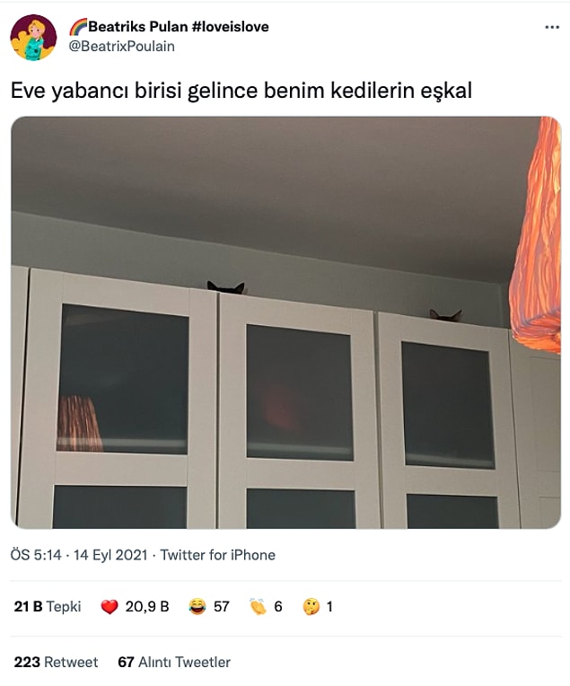 1. Bir süre sonra aniden ortaya çıkmaları...
