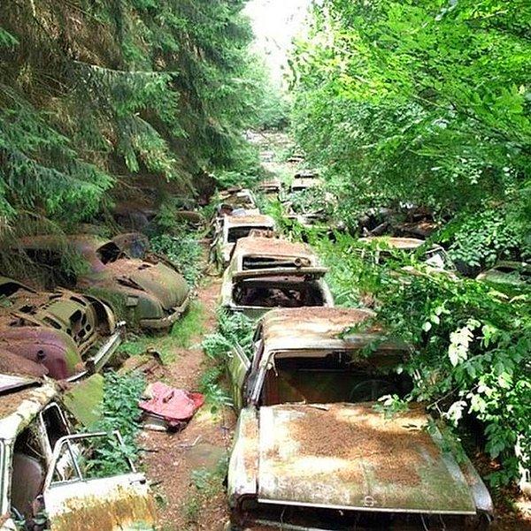 8. ABD askerlerinin Belçika'daki Chatillon araba mezarlığına bıraktığı arabalar.