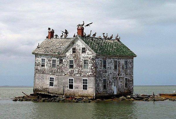 17. Holland Adası'ndaki son ev.