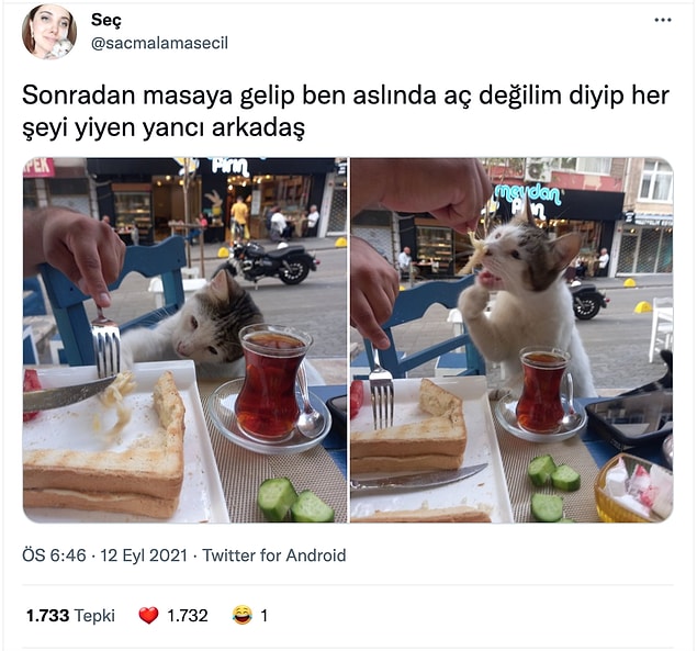 16.